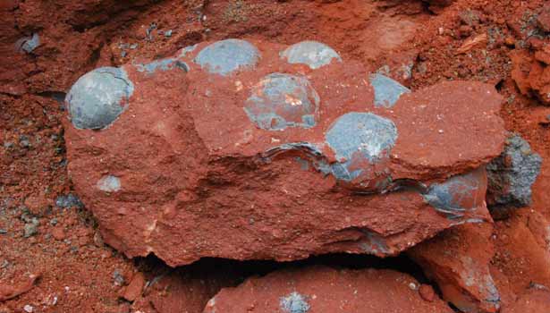 201801021602347115_1_china-dinosaur._L_styvpf